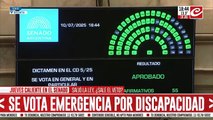 Se aprobó la ley de emergencia por discapacidad