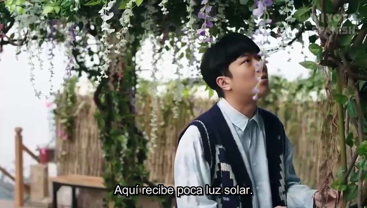25. Rattan (Si Teng), en español