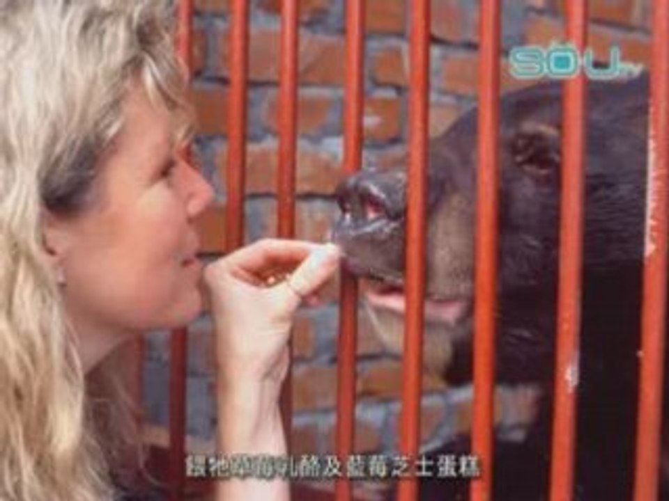 The Moon Bear Story