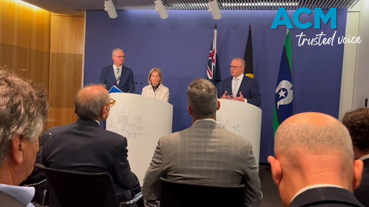 PM Albanese responds to recommendations to combat antisemitism