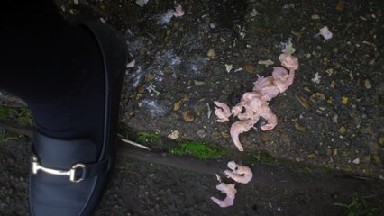 Crowning | movie | 2021 | Official Teaser