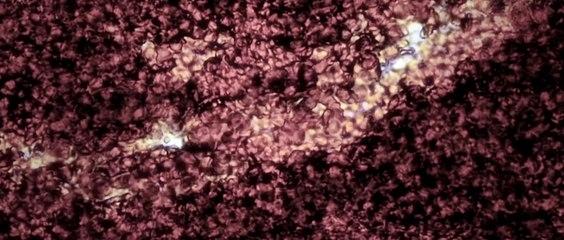 Closer to God | movie | 2014 | Official Trailer