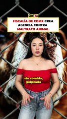 FISCALÍA DE LA CDMX crea agencia contra MALTRATO ANIMAL