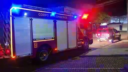 Cão cai em poço e Bombeiros fazem operação para resgatá-lo; Oficial explica