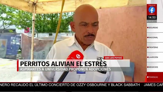 Perritos callejeros se vuelven sensación durante el examen de admisión de la UASLP