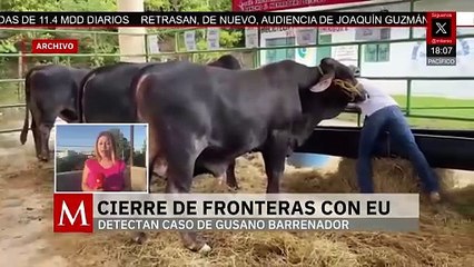 Cierre de fronteras de EU genera gran impacto a Chihuahua