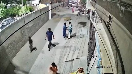 巴基斯坦拉合尔宠物狮子失控袭击母子，惊险街头追逐 🦁