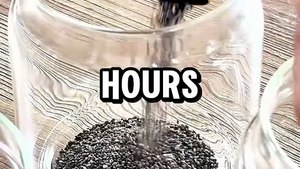 If you eat Chia Seeds everyday for 2 weeks