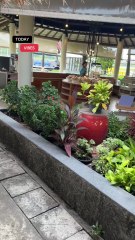 Free Snacks & Drinks at Koh Samui Airport?! Here’s Where to Find Them! 🇹🇭