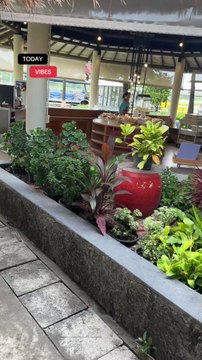 Free Snacks & Drinks at Koh Samui Airport?! Here’s Where to Find Them! 🇹🇭