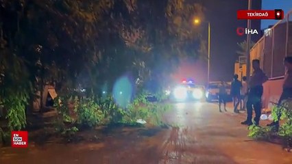 Tekirdağ'da balkonda kahve içerken üzerine ağaç devrildi