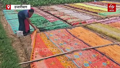 3 करोड़ 50 लाख रुपए का धान का बीज उपलब्ध करा रहा एफपीओ, महिला किसान इस साल होंगी मालामाल!