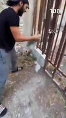 Il brave les flammes pour secourir des animaux à Marseille