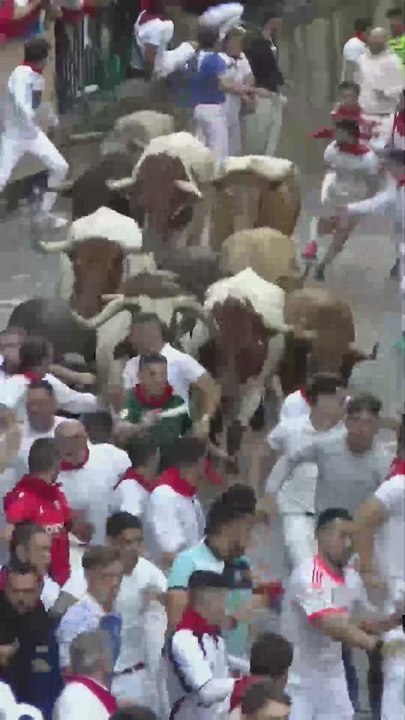 Los peligrosos toros de Jandilla en un encierro limpio