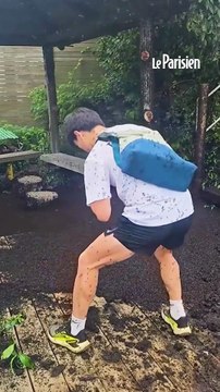 Des millions d’insectes volants envahissent une région de Corée du Sud