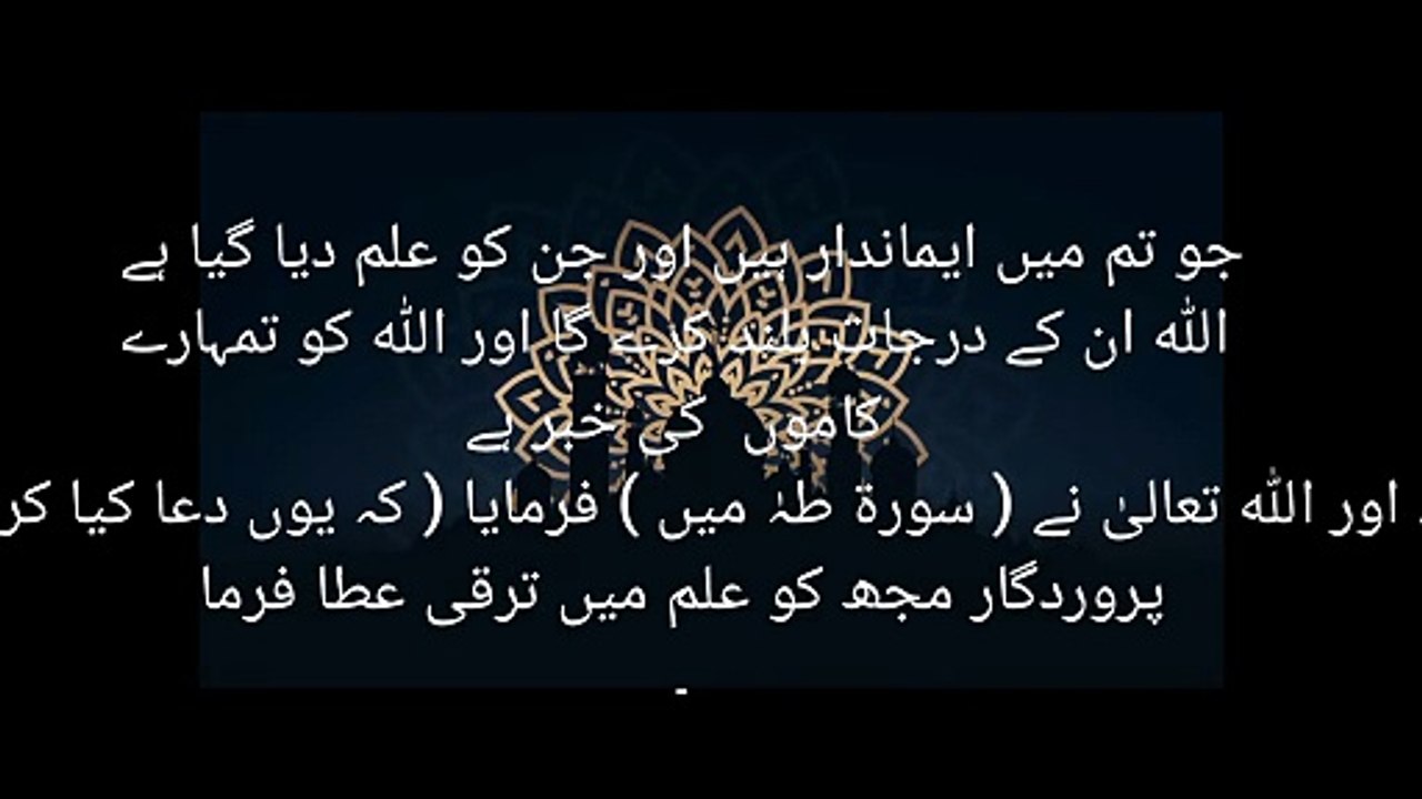 Respect others