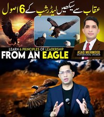 LEADERSHIP RULES WHICH CAN BE LEARNT FROM EAGLE