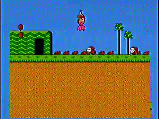 Super Mario Bros 2  49