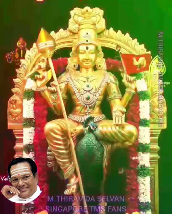 அருள் ஞான பழனியிலே முருகா TMS LEGEND M.THIRAVIDA SELVAN SINGAPORE TMS FANS 2025