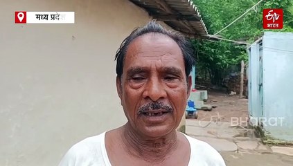 पन्ना में तेंदुए का आतंक, घर में घुसकर 3 जानवरों को बनाया शिकार