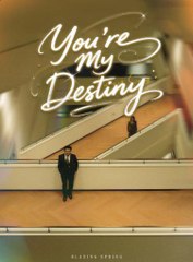 You're My Destiny 🇨🇳 - Heartwarming Chinese Drama to Watch Now
