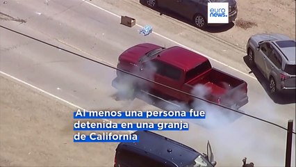 “Escoria”: Newsom explota contra Trump tras la redada del ICE en una granja de cannabis