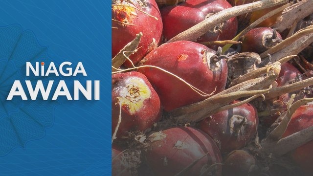 Penganalisis unjur harga purata MSM RM4,100-RM4,200 satu tan