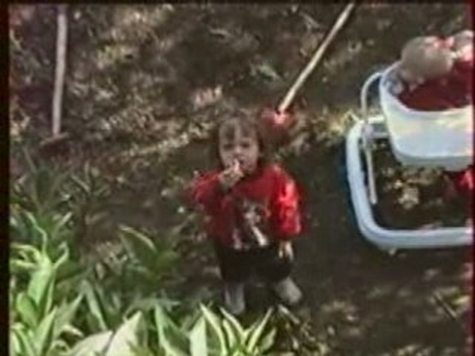 1994 Gatti Salice Montmorency