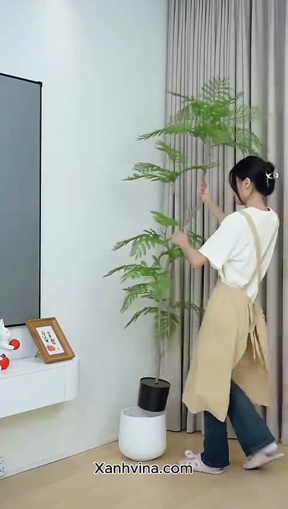 Cây phượng tím giả decor không gian _ Xanhvina