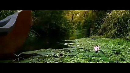 All videos , cartoon, dramas, movies, and all vide