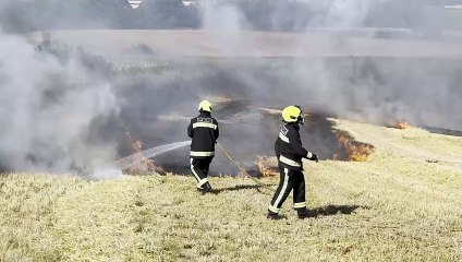 Firefighters using hoses and beaters at the Crediton field fire, video Alan Quick IMG_6591