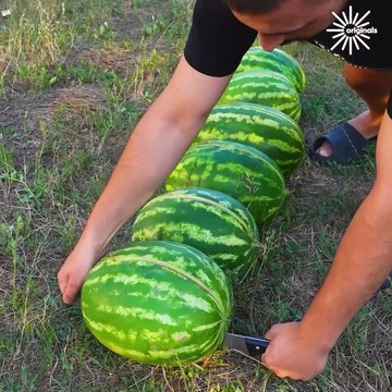 Tips on slicing and dicing like a pro🥒