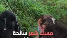 Caught Red-Handed A Female Monkey's Jealousy Erupts!