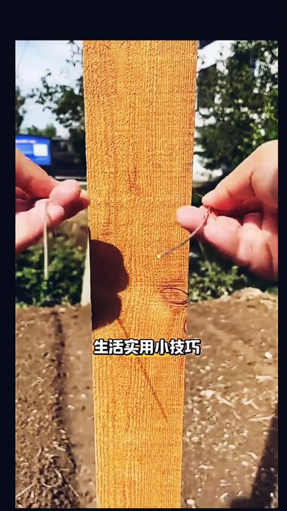 Amazing Short video