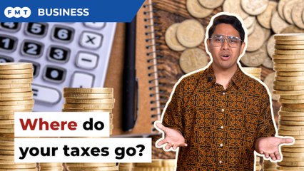 Where do your taxes go?