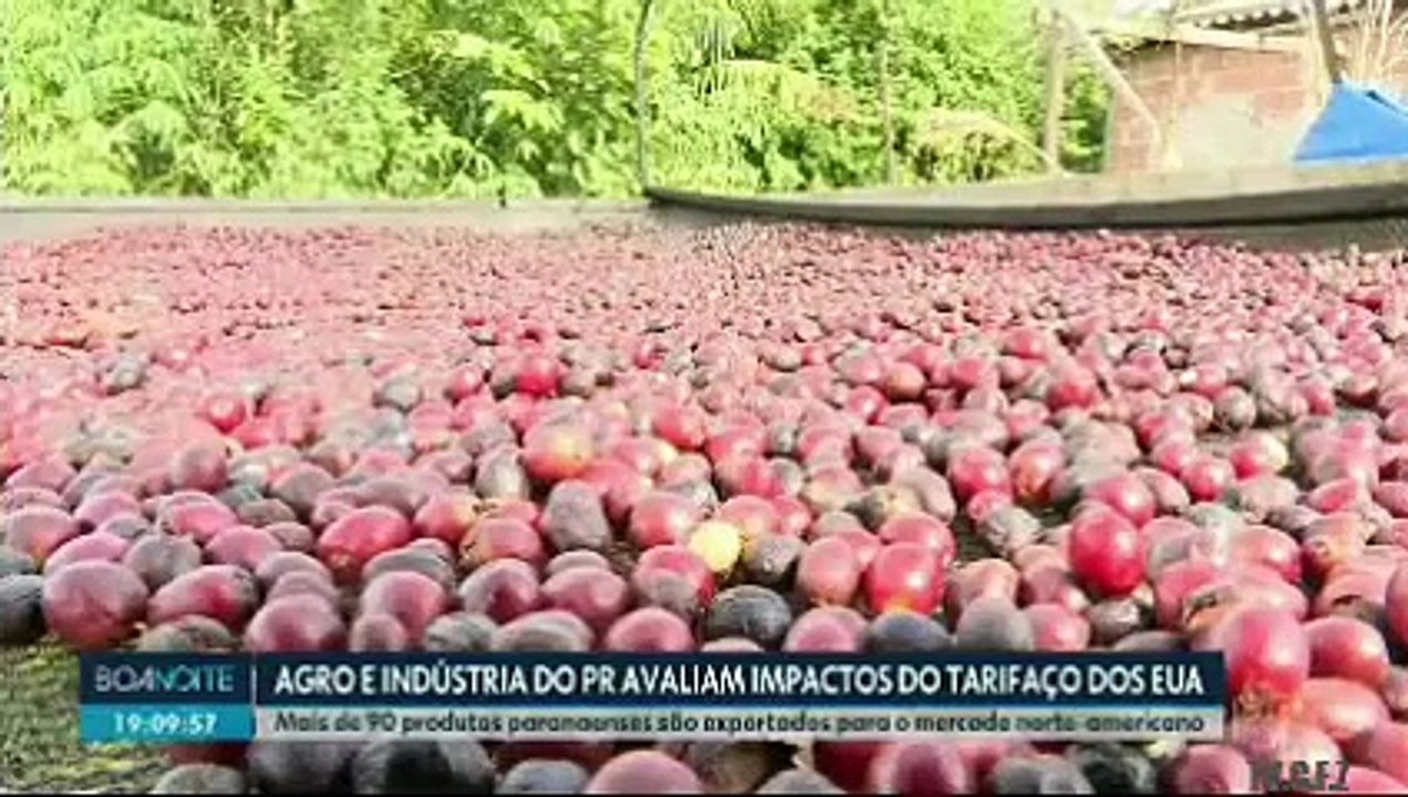 JORNAL DA NOITE 10/07/2025