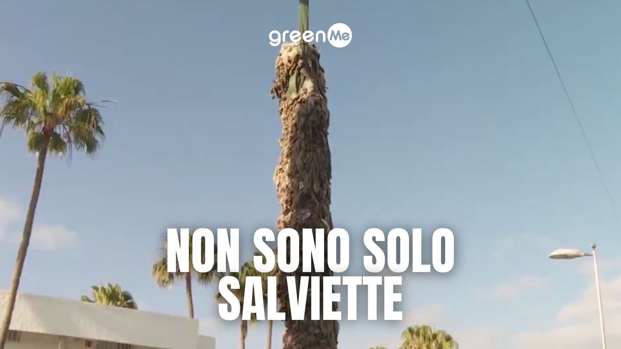 Non sono solo salviette