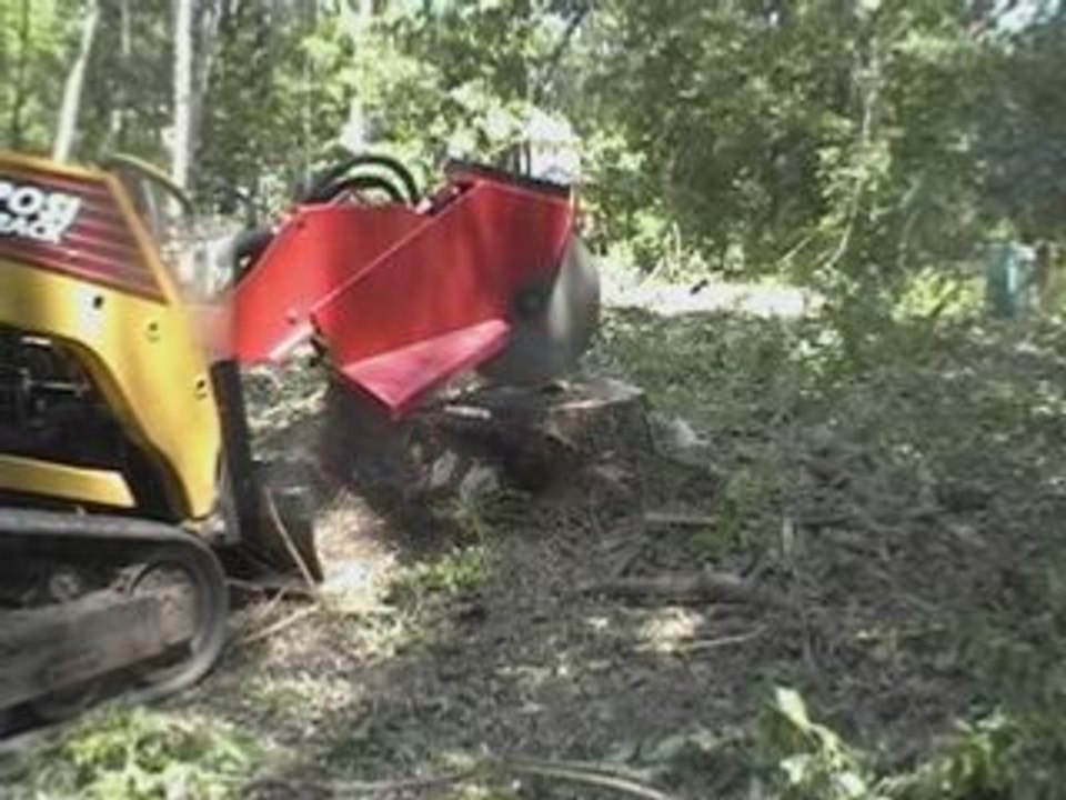 TIMBERCOOP Fraiseuse de souches BROYEUR DE SOUCHES