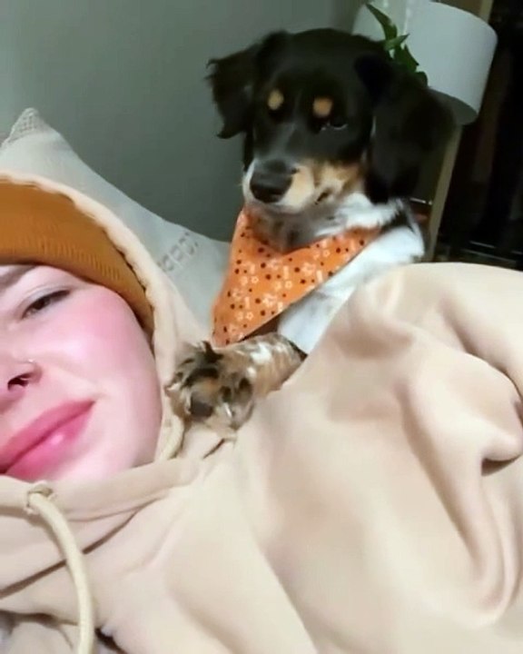 Mon chiot n’a PAS du tout aimé que je rejette son bisou 😭 — Mariah Kringlie via ViralHog 🐶💔💋