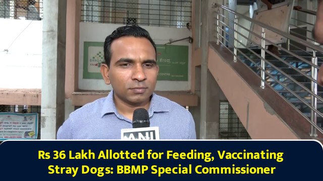 Rs 36 Lakh Allotted for Feeding, Vaccinating Stray Dogs: BBMP Special Commissioner
