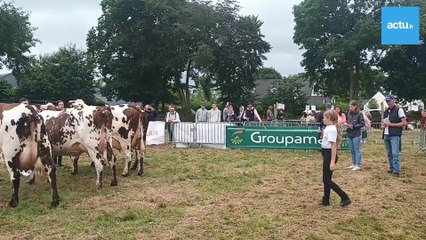 Clara Lamour, 2 ans, juge de la race normande