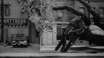Earth Vs. The Spider 1958 ★★ Sci-Fi/Horror (CC)