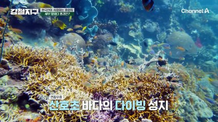 한국인이 사랑하는 휴양지! 필리핀 '세부'에서 시작되는 이번 여정! | 강철지구 37회