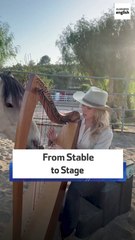 Horse 'Helps' Harpist Perform Fleetwood Mac Cover