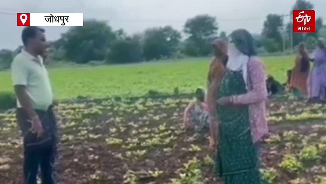 मारवाड़ के तस्करों का सबसे बड़ा मददगार पकड़ा, 7...