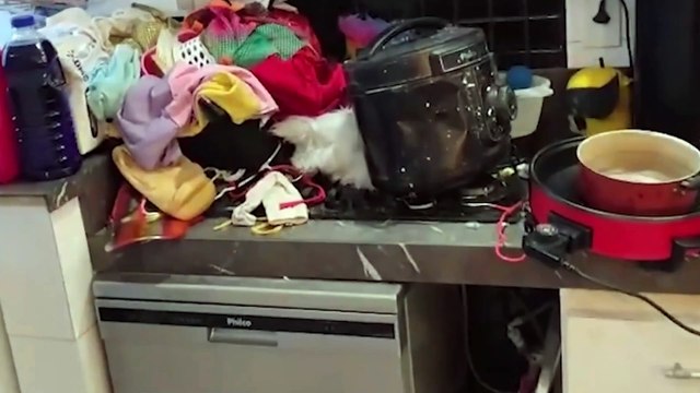 Influenciadora é presa após fraude em vendas online e por deixar filho sujo de fezes