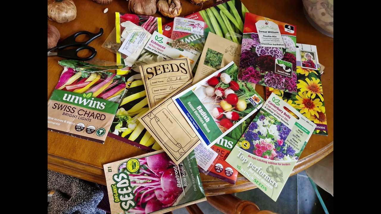 Seeds you can sow in July - Gardening with Brendan