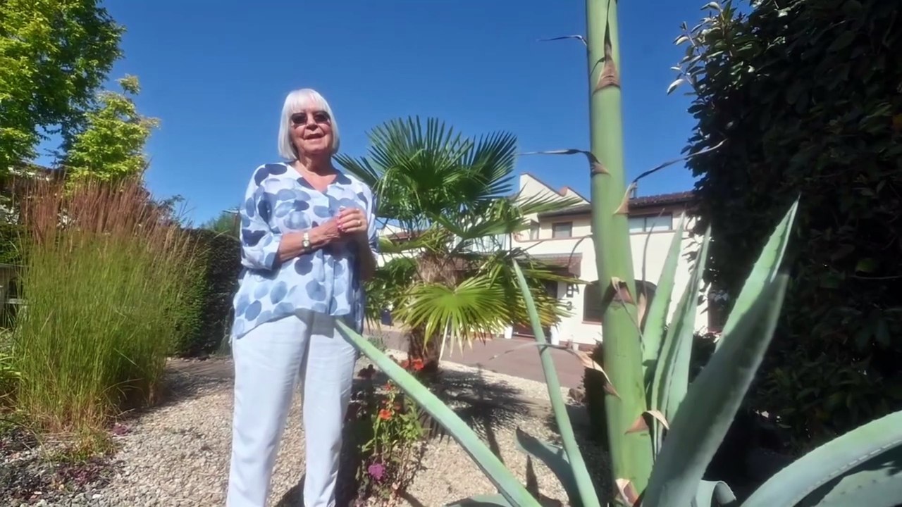 'I never thought I'd live to see it' - Telford gardener's delight as 50-year-old plant flowers with rare 20ft bloom