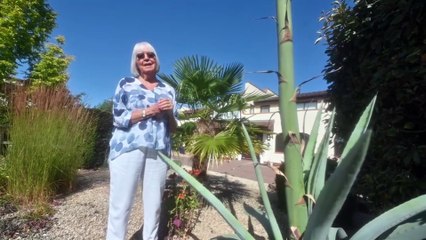 'I never thought I'd live to see it' - Telford gardener's delight as 50-year-old plant flowers with rare 20ft bloom