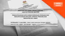 Pindaan dua akta berkuat kuasa 11 Julai